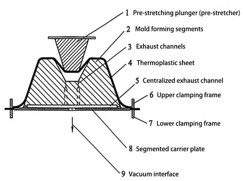 Latest company news about Thermoforming Principles, Advantages, and Disadvantages in Blister Packaging